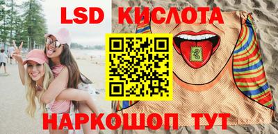 амф Донской