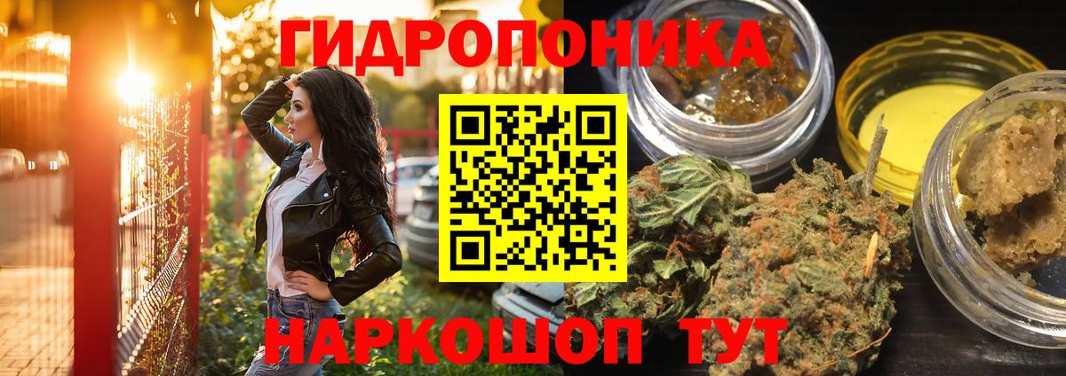 МАРИХУАНА план  Канабис OG Kush  Людиново  Вход с VPN  Конопля AK-47 
